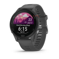 Купить Garmin Forerunner 255 серый арт. 010-02641-10