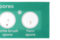 Купить Набор микропрепаратов Discovery «Флора», 12 шт. арт. 78225