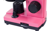 Купить Микроскоп Levenhuk Rainbow 2L NG Rose\Роза арт. 24606