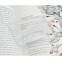 Купить Линза Veber 2101A (3х, 80*43) арт. 26227