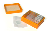 Купить Набор готовых микропрепаратов Levenhuk N10 NG арт. 29279