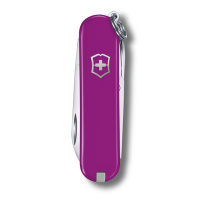 Купить Нож-брелок VICTORINOX Classic SD Colors "Tasty Grape", 58 мм, 7 функций, фиолетовый арт. 0.6223.52G