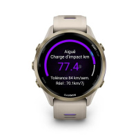 Купить GARMIN FORERUNNER 970 French Gray with Indigo 010-02969-12 арт. 010-02969-12