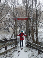 Купить Водонепроницаемые носки DexShell Hytherm Pro L (43-46), DS634L арт. DS634L