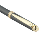 Купить Ручка шариковая Pierre Cardin ECO, цвет - серый. Упаковка Е-2 арт. PC4113BP