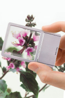 Купить Линза Френеля Levenhuk Zeno 90, 2,5x, 48x45 мм, 1 LED, металл арт. 38122