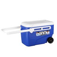 Купить Изотермический контейнер (термобокс) Igloo Contour 38 QT Glide (36 л.), синий арт. 45926