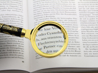 Купить Лупа L60 (диам. 60мм, 8х, в чехле, сувенирная) арт. 22686