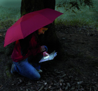 Купить Зонт Light trek flashlite red (цвет - красный) арт. 3F329027