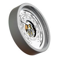 Купить Барометр анероид с открытым механизмом Meteo Ctrl Al851 арт. RST07851