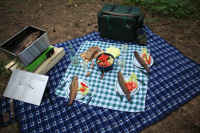 Купить Универсальная коптильня Gurman, размер M (2 яруса) арт. 138205