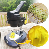 Купить Микроскоп Bresser National Geographic 20x, монокулярный арт. 74784