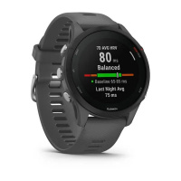 Купить Garmin Forerunner 255 серый арт. 010-02641-10