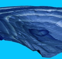 Купить ПО AutoChart PRO™ арт. 600032-1М