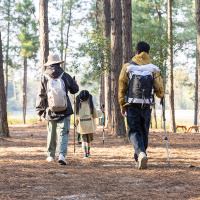 Купить Палка Треккинговая Naturehike ST01 6061 AL NH17D001-Z  с 3 узлами женская 57-120 золотой арт. 6975641885597