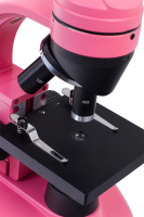 Купить Микроскоп Levenhuk Rainbow 50L NG Rose\Роза арт. 24659
