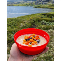 Купить Tramp Тарелка силиконовая с пластиковым дном 550 мл, TRC-123, терракотовый арт. TRC-123