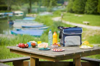 Купить Термосумка Campingaz (30 л.), синяя арт. 2000011725