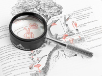 Купить Лупа Veber 35*50 (10х, 50мм) арт. 26239