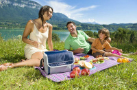 Купить Сумка изотермическая Campingaz FOLD'N COOL 10 л (ЦВЕТ ТЁМНО-СИНИЙ С СЕРЫМ) арт. 2000011723