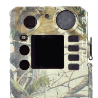 Купить Bolyguard BG 310 арт. TELTOS BG310 