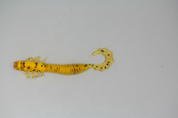 Купить Мягк.приманки LureMax GOBLIN 120 мм''/12см, LSGB45-04-004 Caramel Oil (4 шт.) арт. LSGB45-04-004