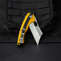 Купить Нож Bestech Skirmish сталь D2, рукоять G10 черно-желтая арт. BG44B