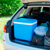 Купить Контейнер изотермический Campingaz Icetime Plus 38L арт. 2000024960