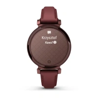 Купить GARMIN  LILY 2 Classic Dark Bronze with Mulberry Leather Band 010-02839-03 арт. 010-02839-03