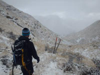 Купить Водонепроницаемые носки DexShell Camouflage S (36-38), DS736S арт. DS736S