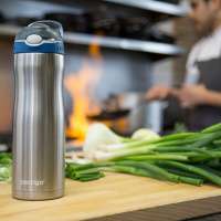 Купить Термобутылка Contigo Ashland Chill (0,6 литра), стальная (2094941) арт. contigo0554