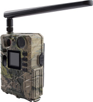 Купить Bolyguard BG 710 M арт. TELTOS BG 710M