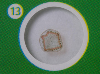 Купить Набор микропрепаратов Levenhuk LabZZ P12, растения арт. 72869