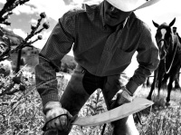 Купить Мачете Gerber Machete Broadcut (31-003153) арт. 31-003153