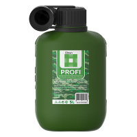 Купить Канистра для бензина 5л с заливным устройством PROFI арт. 05.01.01.00-2