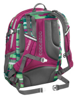 Купить Рюкзак Coocazoo JobJobber2 Bartik зеленый/розовый арт. 138718