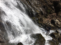 Купить Водонепроницаемые носки Dexshell Thermlite Green L (43-46), DS6260L арт. DS6260L