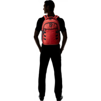 Купить Рюкзак Victorinox VX Sport Cadet 16'', красный, 33x18x46 см, 20 л арт. 31105003