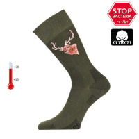 Купить Носки Lasting  LFSJ 620, cotton+polyamide, зеленый с рисунком, размер M (LFSJ620-M) арт. LFSJ620-M