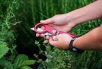 Купить Мультитул LEATHERMAN Raptor Response (832965) красный арт. 832965