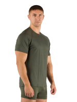 Купить Футболка  мужская Quido/ кор. рукав/ шерсть 160/ зеленый / XXL, Quido6262XXL арт. Quido6262XXL